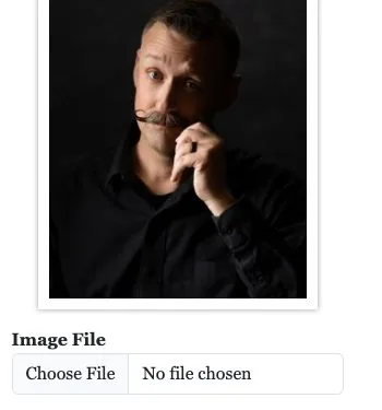 The Image File control below the profile photo, with a Choose File button